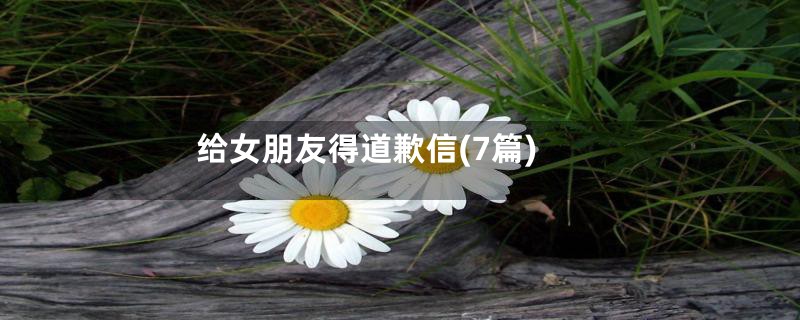 给女朋友得道歉信(7篇)