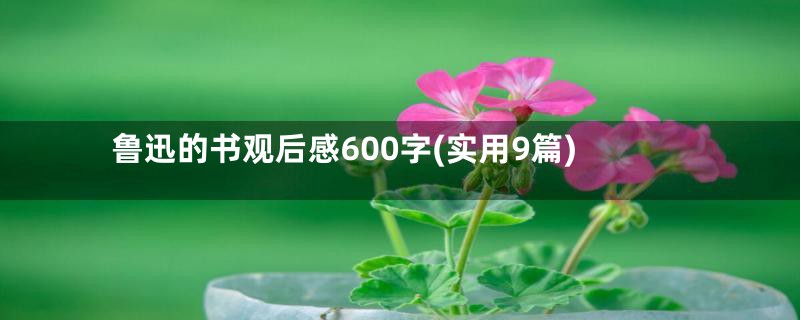 鲁迅的书观后感600字(实用9篇)