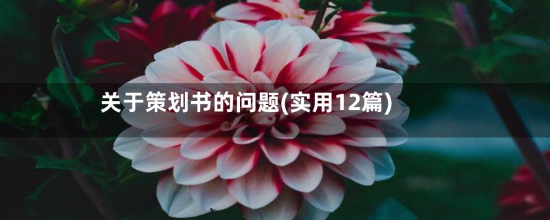 关于策划书的问题(实用12篇)