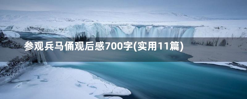 参观兵马俑观后感700字(实用11篇)