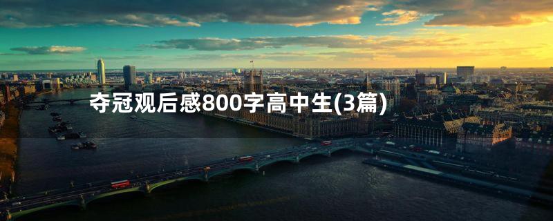 夺冠观后感800字高中生(3篇)