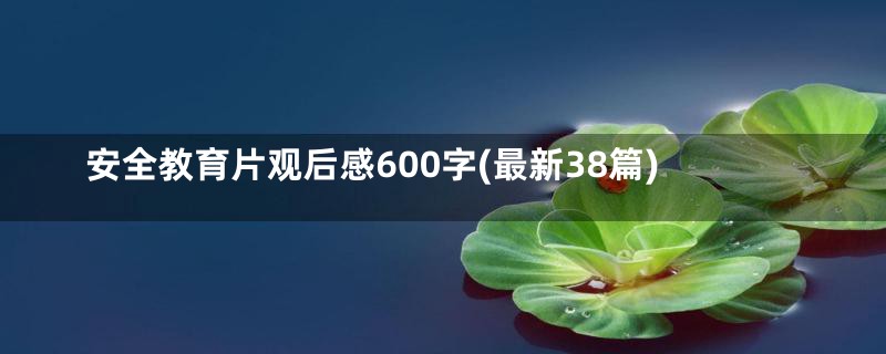 安全教育片观后感600字(最新38篇)