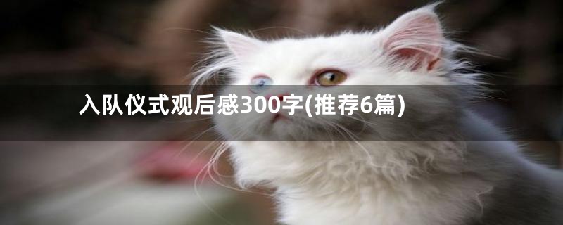 入队仪式观后感300字(推荐6篇)