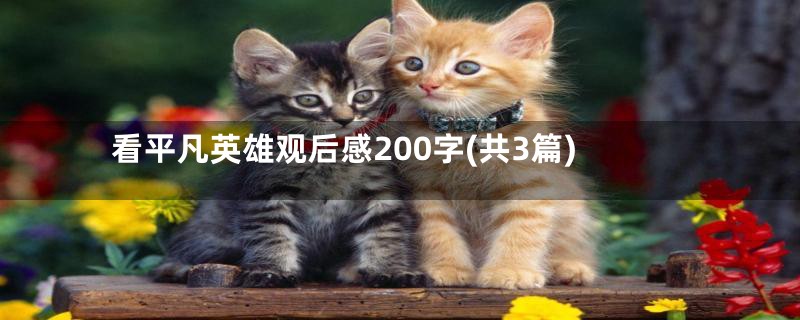 看平凡英雄观后感200字(共3篇)