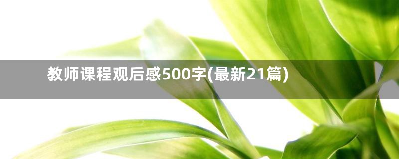 教师课程观后感500字(最新21篇)