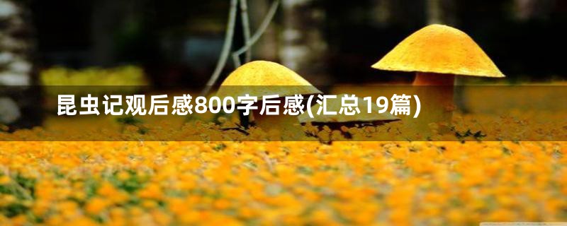 昆虫记观后感800字后感(汇总19篇)