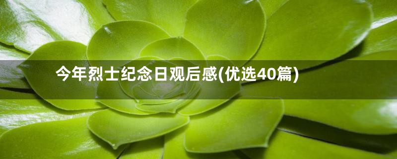 今年烈士纪念日观后感(优选40篇)