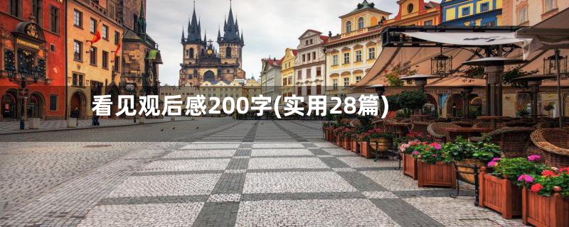 看见观后感200字(实用28篇)