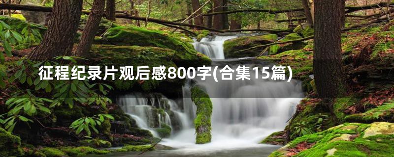 征程纪录片观后感800字(合集15篇)