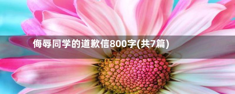 侮辱同学的道歉信800字(共7篇)