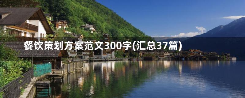 餐饮策划方案范文300字(汇总37篇)