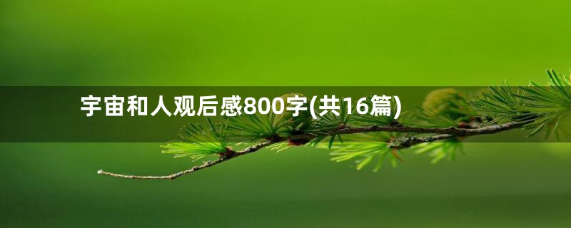 宇宙和人观后感800字(共16篇)