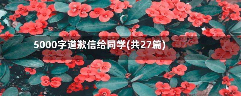 5000字道歉信给同学(共27篇)