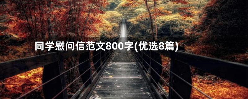 同学慰问信范文800字(优选8篇)