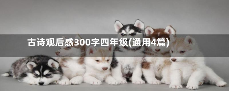 古诗观后感300字四年级(通用4篇)