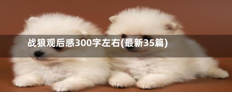 战狼观后感300字左右(最新35篇)