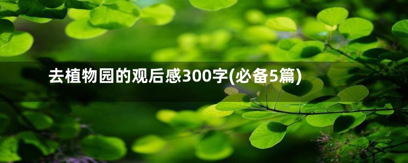 去植物园的观后感300字(必备5篇)