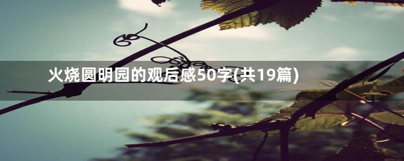 火烧圆明园的观后感50字(共19篇)