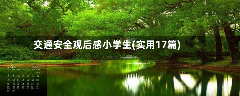 交通安全观后感小学生(实用17篇)