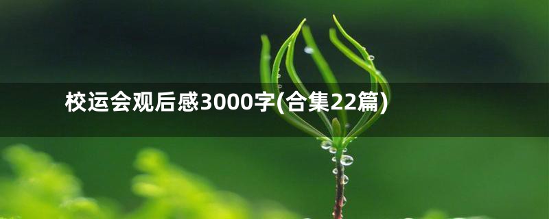 校运会观后感3000字(合集22篇)