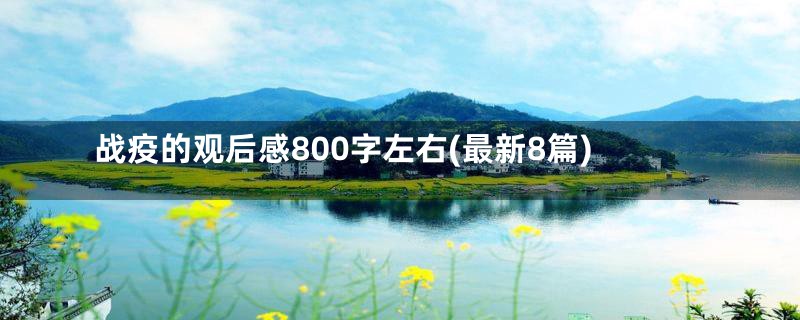 战疫的观后感800字左右(最新8篇)