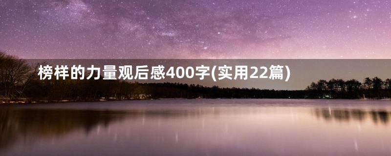 榜样的力量观后感400字(实用22篇)