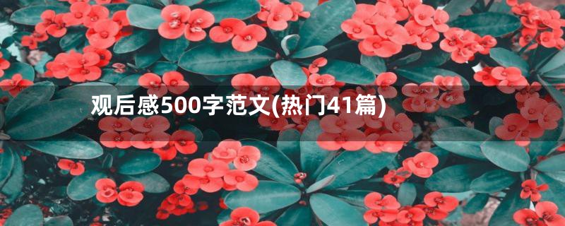 观后感500字范文(热门41篇)