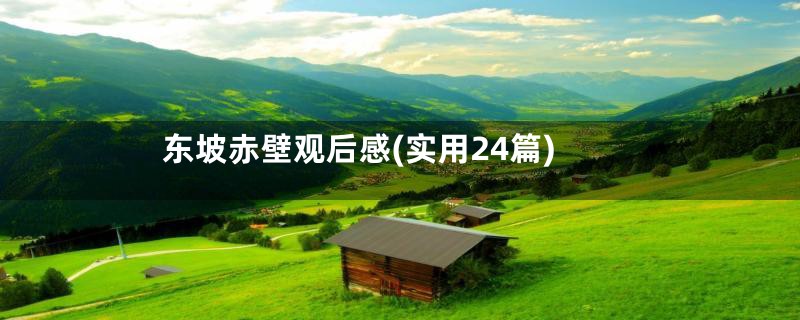 东坡赤壁观后感(实用24篇)