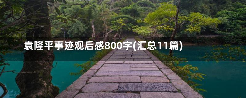 袁隆平事迹观后感800字(汇总11篇)