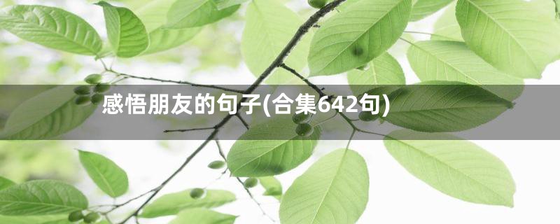 感悟朋友的句子(合集642句)