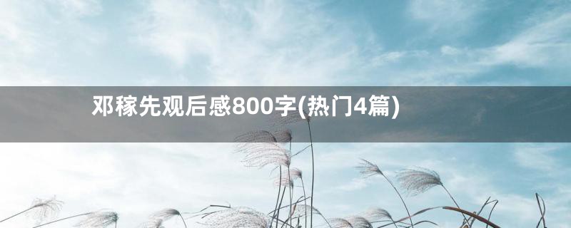 邓稼先观后感800字(热门4篇)