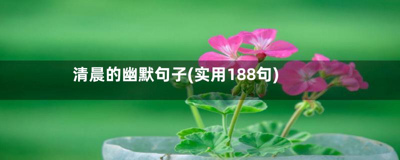 清晨的幽默句子(实用188句)