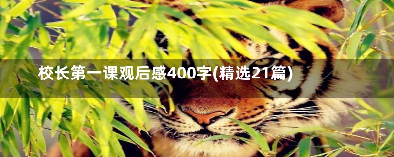 校长第一课观后感400字(精选21篇)