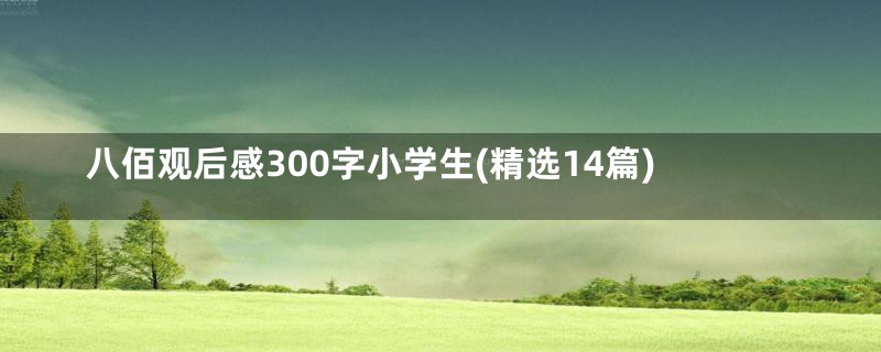 八佰观后感300字小学生(精选14篇)