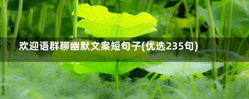 欢迎语群聊幽默文案短句子(优选235句)