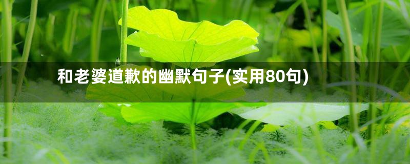 和老婆道歉的幽默句子(实用80句)