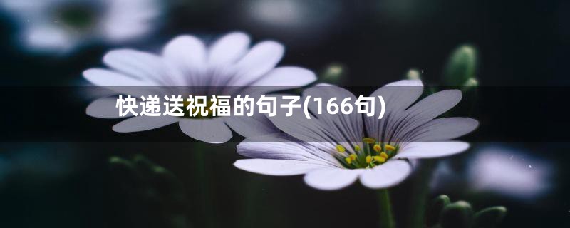 快递送祝福的句子(166句)