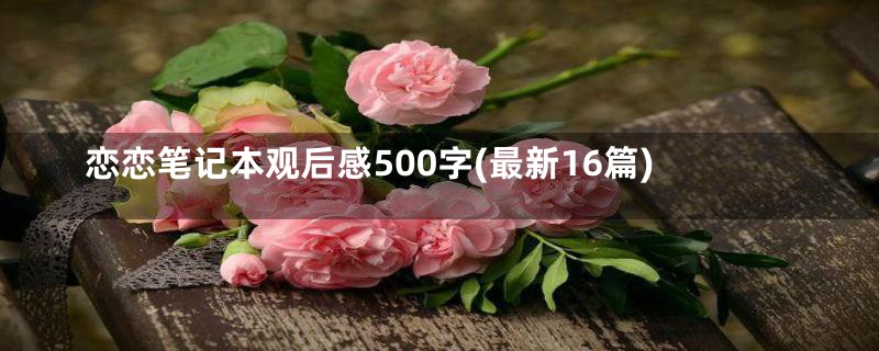 恋恋笔记本观后感500字(最新16篇)