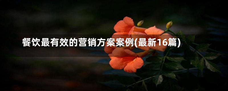 餐饮最有效的营销方案案例(最新16篇)