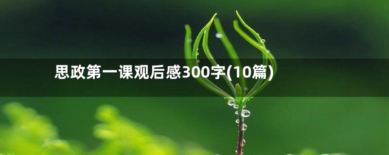 思政第一课观后感300字(10篇)