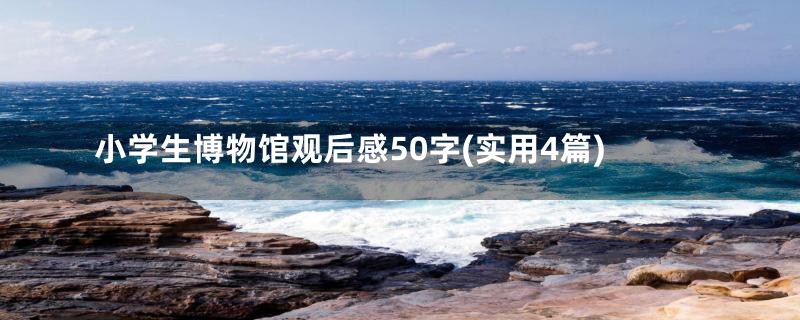 小学生博物馆观后感50字(实用4篇)