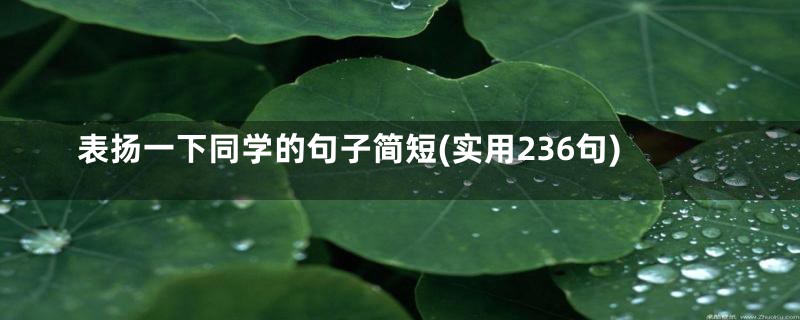 表扬一下同学的句子简短(实用236句)