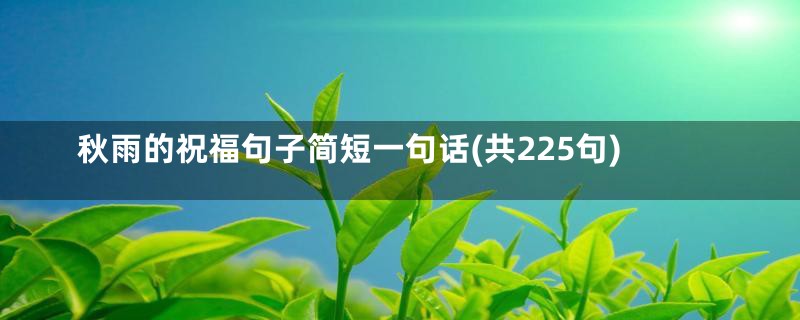 秋雨的祝福句子简短一句话(共225句)