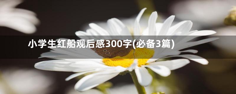 小学生红船观后感300字(必备3篇)