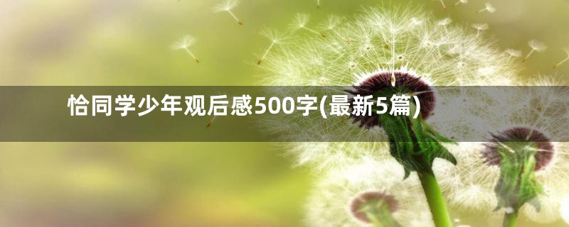 恰同学少年观后感500字(最新5篇)