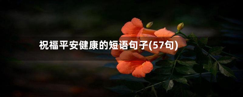 祝福平安健康的短语句子(57句)