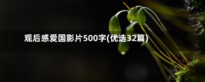 观后感爱国影片500字(优选32篇)