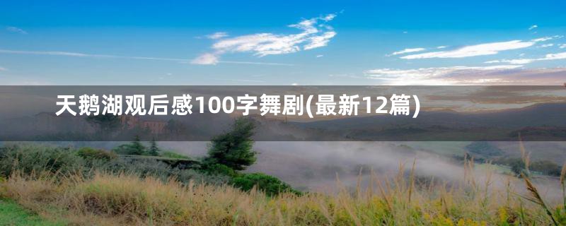 天鹅湖观后感100字舞剧(最新12篇)