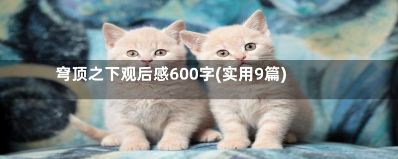 穹顶之下观后感600字(实用9篇)