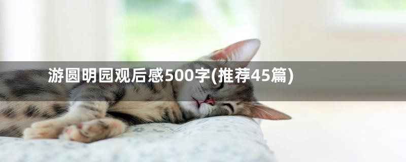 游圆明园观后感500字(推荐45篇)